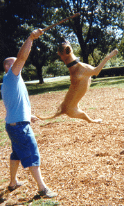 action shot