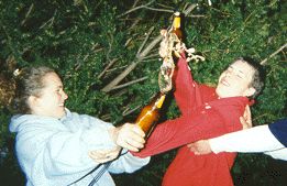 beer
