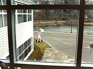 window