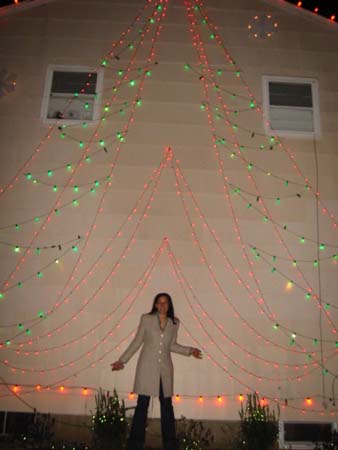 christmas lights
