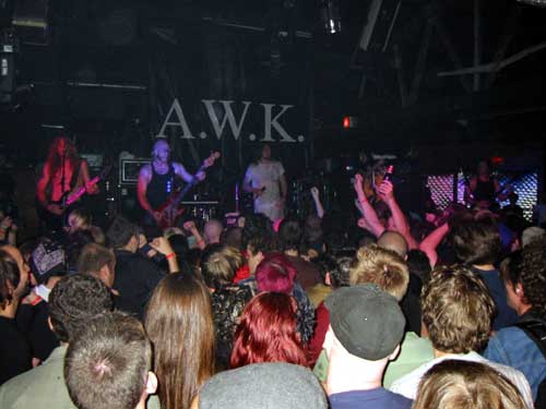 andrew wk