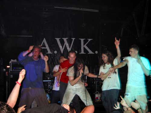 andrew wk