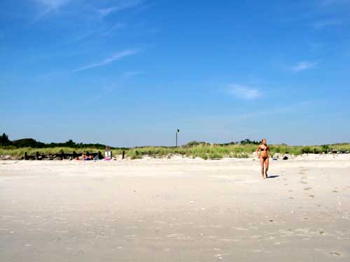 sarah l