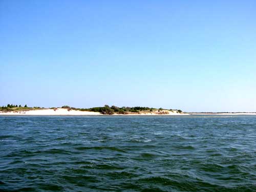 jersey shore