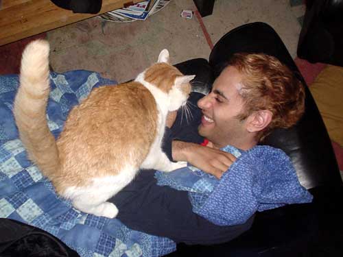 april 22, 2003