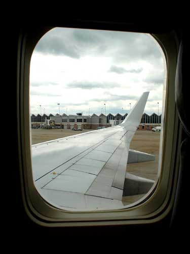 wing