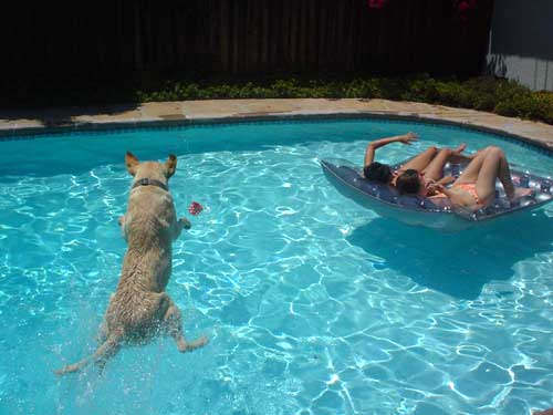 action shot