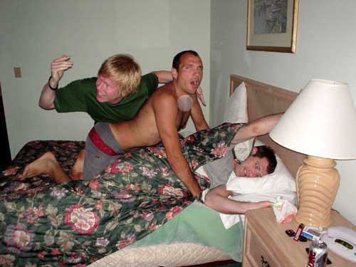 bed + hotel