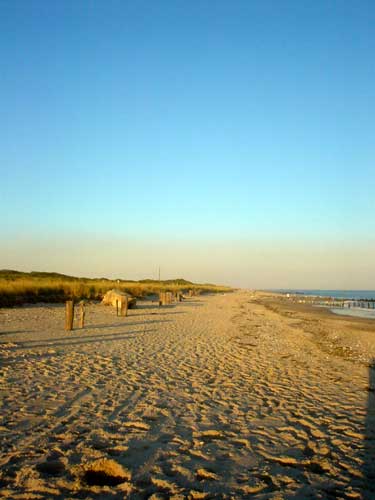 beach + fort tilden