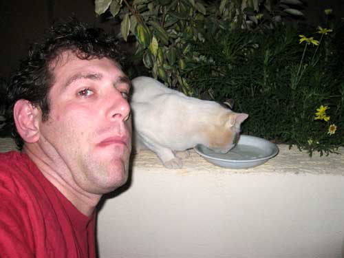 cat