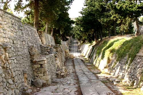 museum + crete