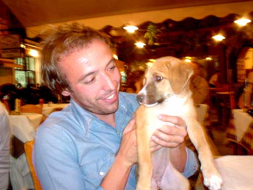 puppy