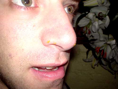 november 1, 2003