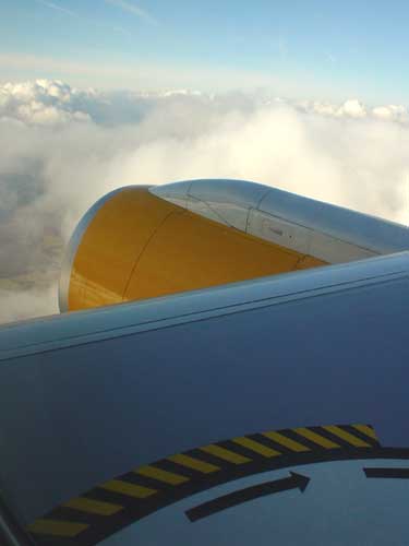 wing