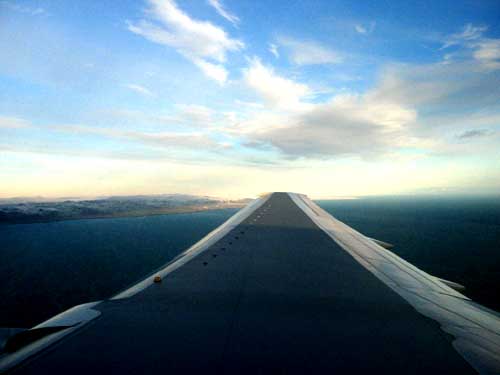 wing