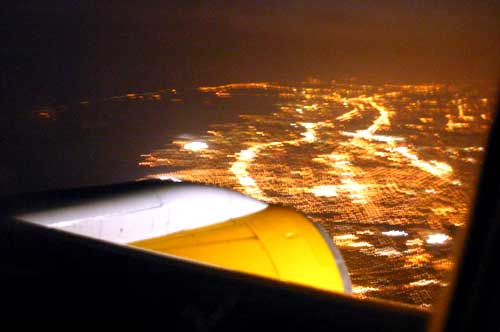 wing