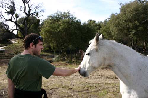 december 15, 2003