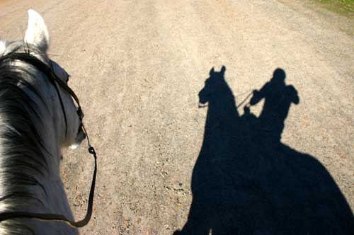 shadow