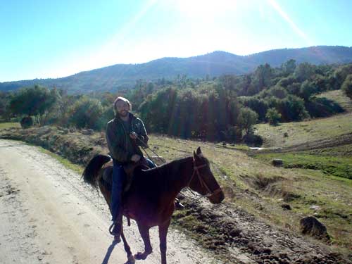 horse