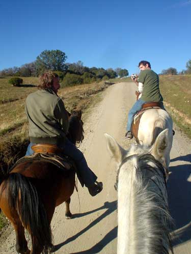 fatty + horse