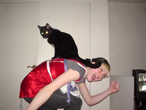 cat