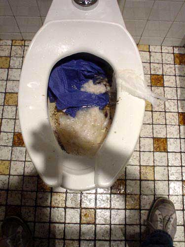 toilet
