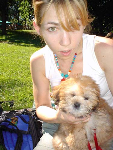 puppy