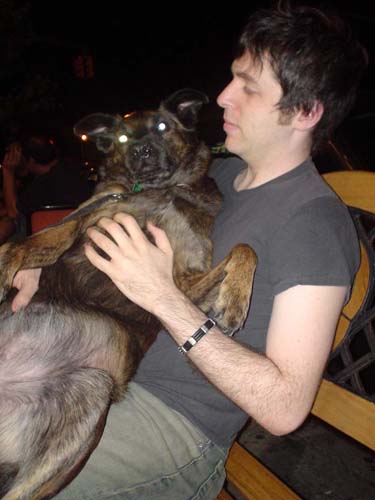 dog