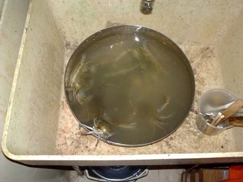 sink