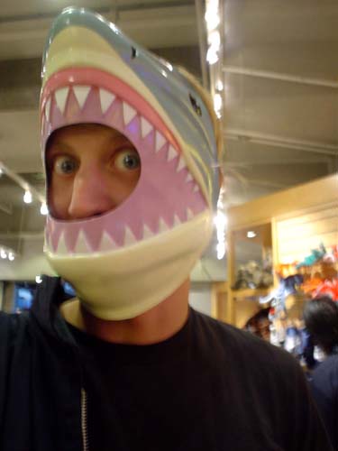 shark