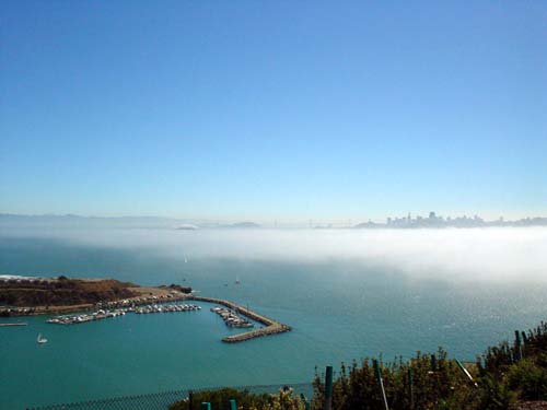 fog