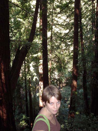 trees