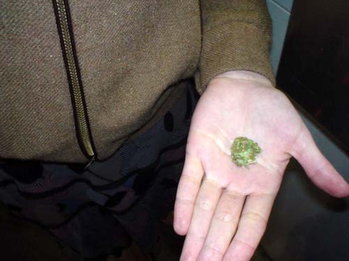 weed