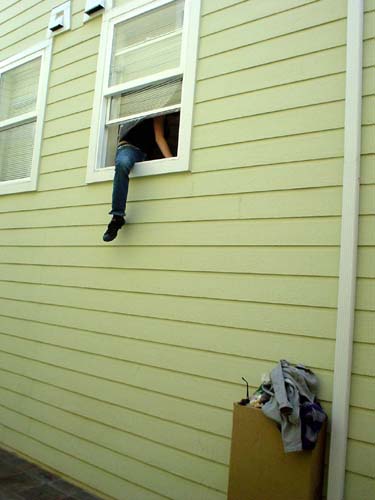 window