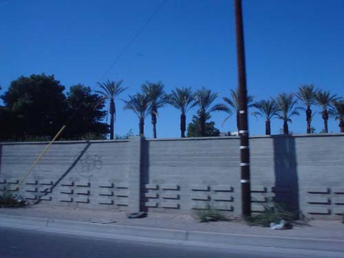 las vegas