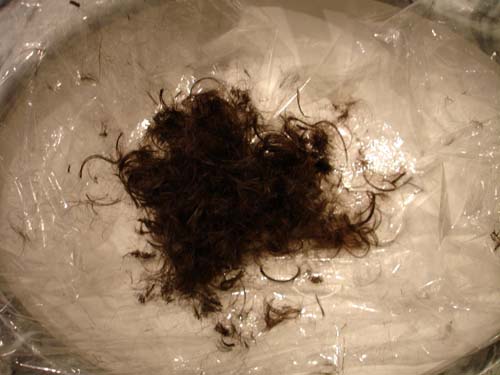 haircut