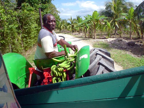 jamaica