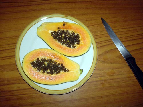 fruit