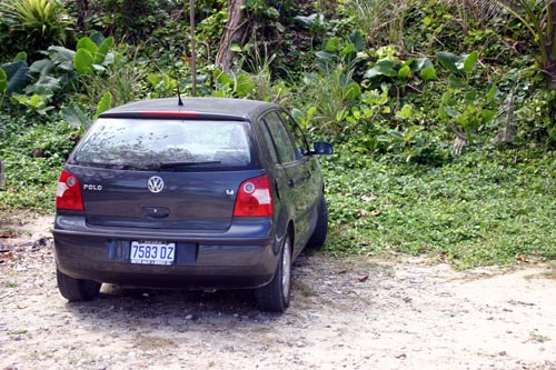 rental car