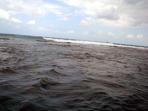 ocean + scuba