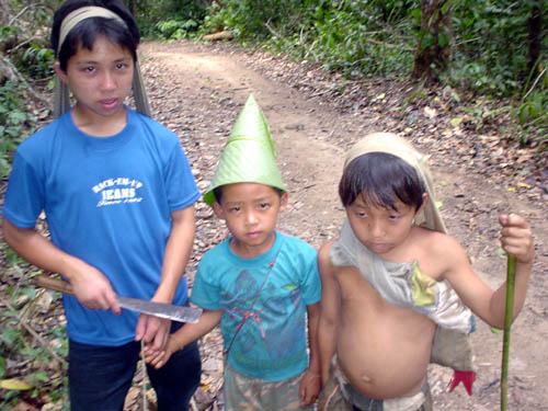 leaf hats