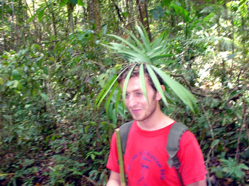 leaf hats