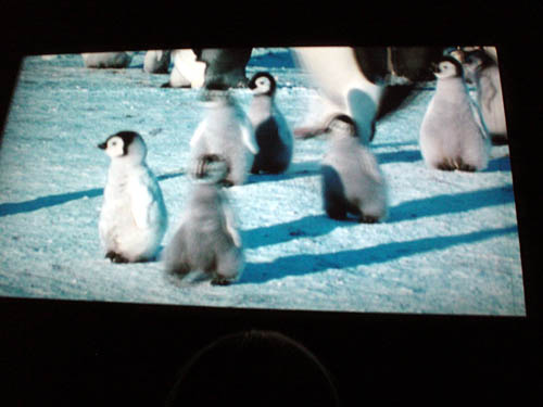 movie