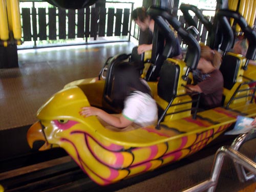 roller coaster
