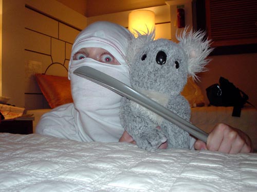 ninja
