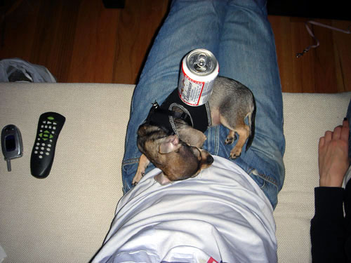 beer