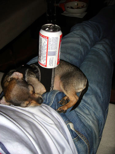 beer