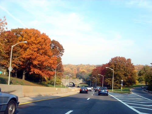 driving