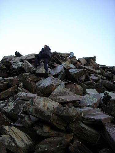 rocks