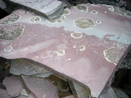 rocks